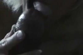 افلام جنس مترجمة اوربي xnxx